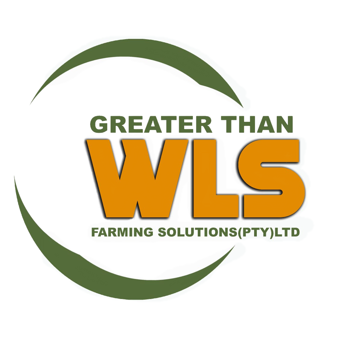 WLS Logo.jpg (2)